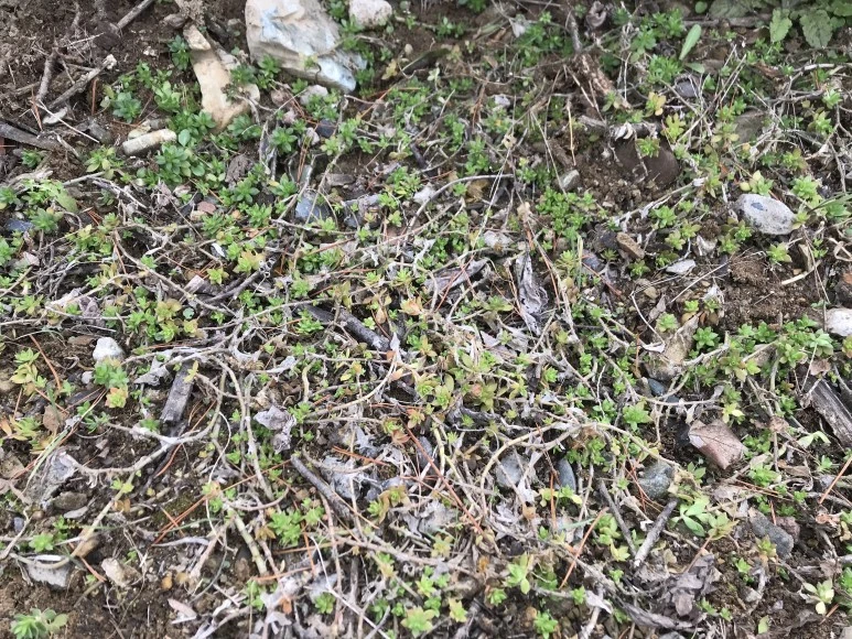 IMG_3844.JPG?type=w773