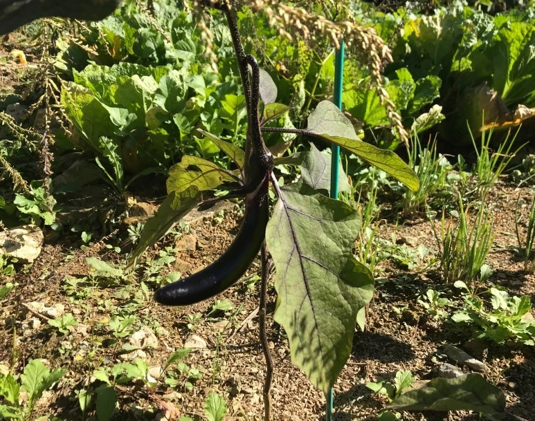 SE-8da6fe3a-2843-496f-8c76-4ae56ff14e9a.jpg?type=w773