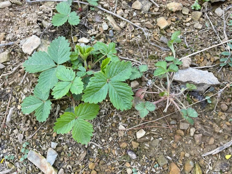 SE-3fd19c2e-bcc2-4d63-8234-6c97cdb50ce9.jpg?type=w773