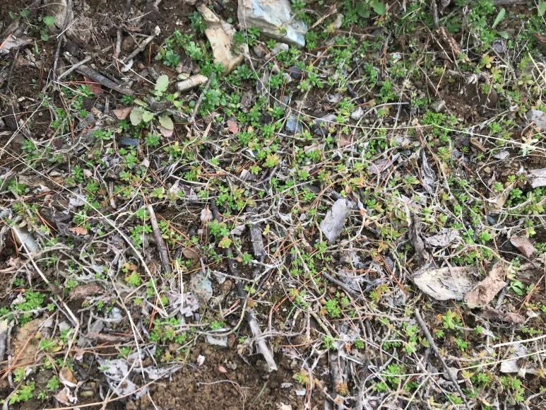 SE-484be98d-51ce-41b0-a7ef-3c4d5697c0cf.jpg?type=w773