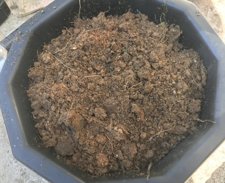 %EC%86%8C%EC%9A%B0%EC%A3%BC.jpg?type=w773