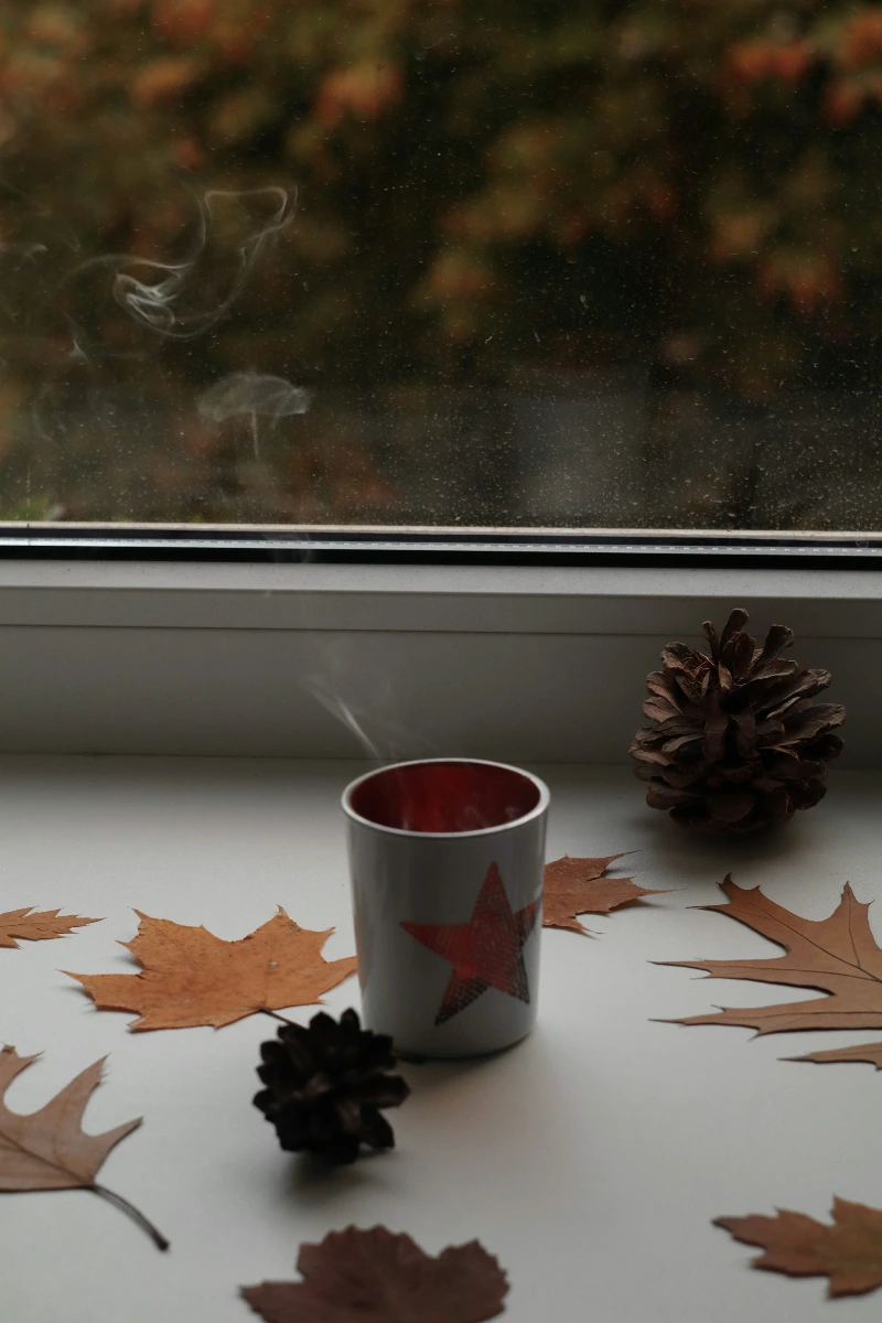 photo-1602955585779-92b0d4a2c3b0?ixlib=rb-4.1.0&ixid=M3wxMjA3fDB8MHxwaG90by1wYWdlfHx8fGVufDB8fHx8fA%3D%3D&fm=jpg&q=60&w=3000