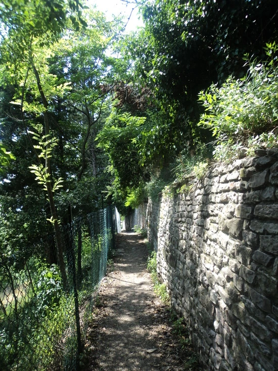 dsc05844_taejungsmin.jpg?type=w2