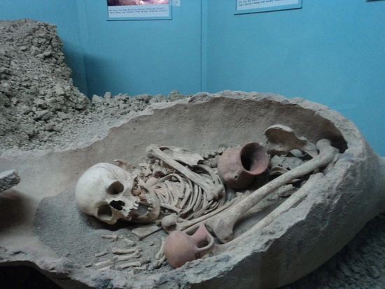 dsc03731_taejungsmin.jpg?type=w2