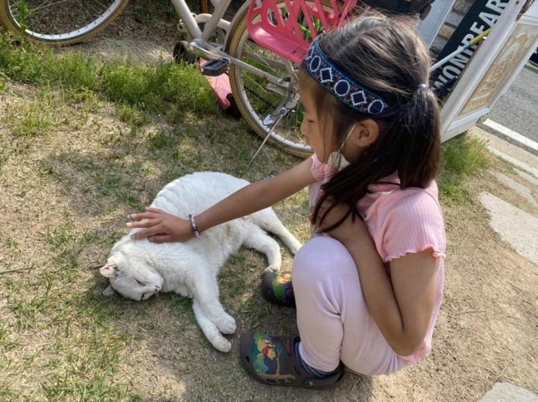 IMG_0146.jpg?type=w773