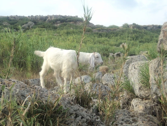 dsc04078_taejungsmin.jpg?type=w2