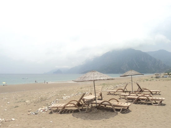 dsc03963_taejungsmin.jpg?type=w2