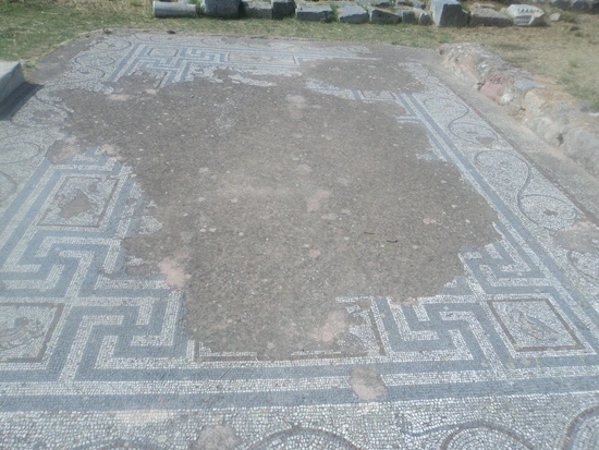 dsc04370_taejungsmin.jpg?type=w2