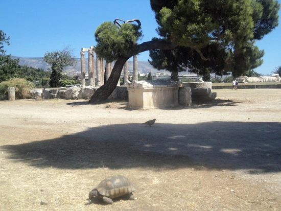 dsc04721_taejungsmin.jpg?type=w2