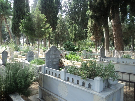 dsc03334_taejungsmin.jpg?type=w2