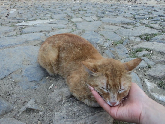 dsc00784_taejungsmin.jpg?type=w2