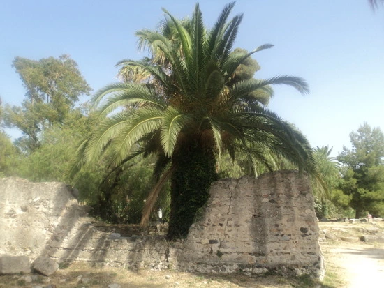 dsc04385_taejungsmin.jpg?type=w2