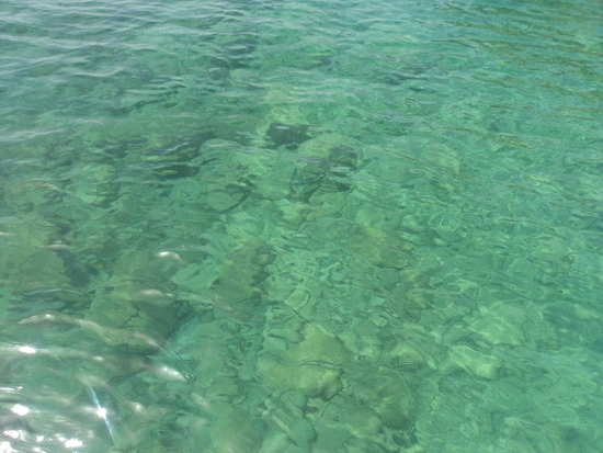 dsc04276_taejungsmin.jpg?type=w2