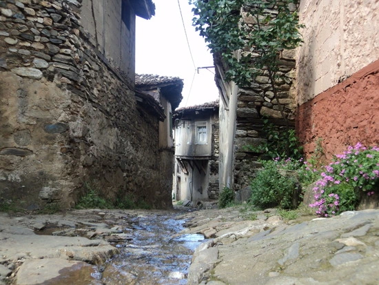 dsc00821_taejungsmin.jpg?type=w2