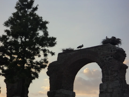 dsc03585_taejungsmin.jpg?type=w2