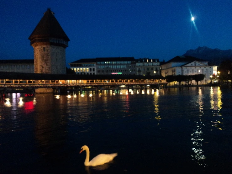 dsc08222_taejungsmin.jpg?type=w2