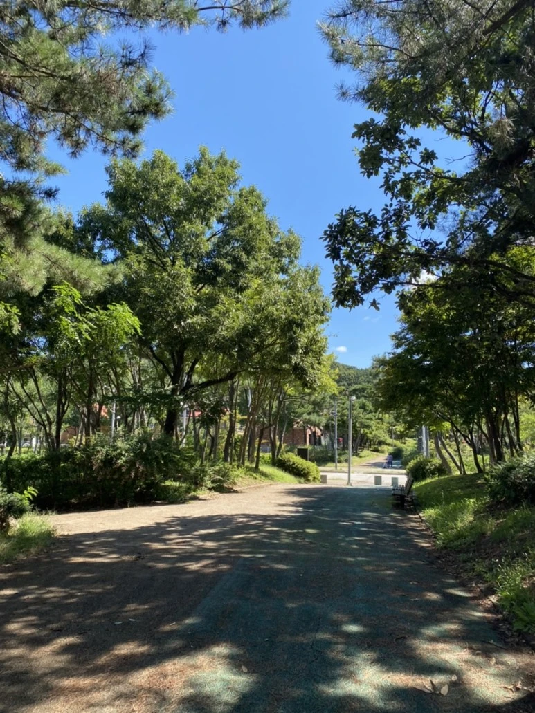 IMG_8106.jpg?type=w773