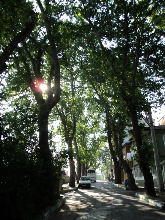 dsc00688_taejungsmin.jpg?type=w2