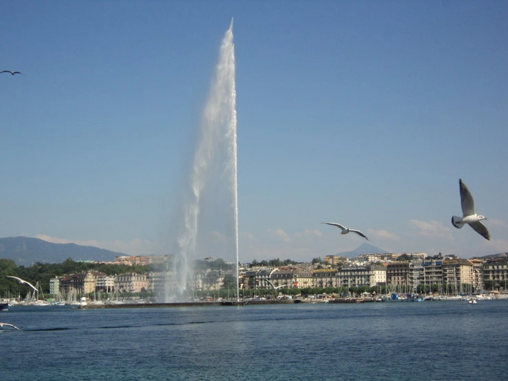 dsc07647_taejungsmin.jpg?type=w2