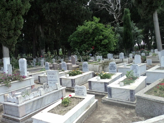 dsc03331_taejungsmin.jpg?type=w2