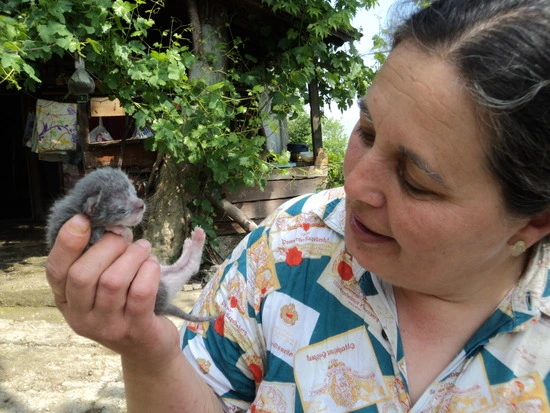 dsc00739_taejungsmin.jpg?type=w2