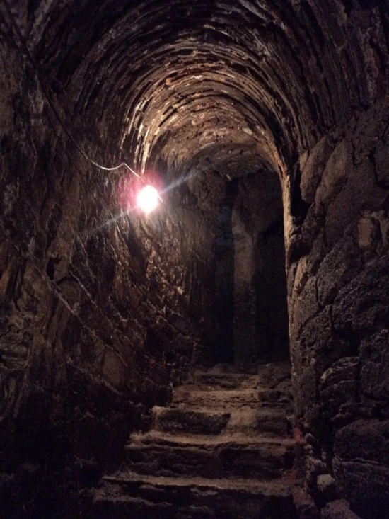 dsc00559_taejungsmin.jpg?type=w2