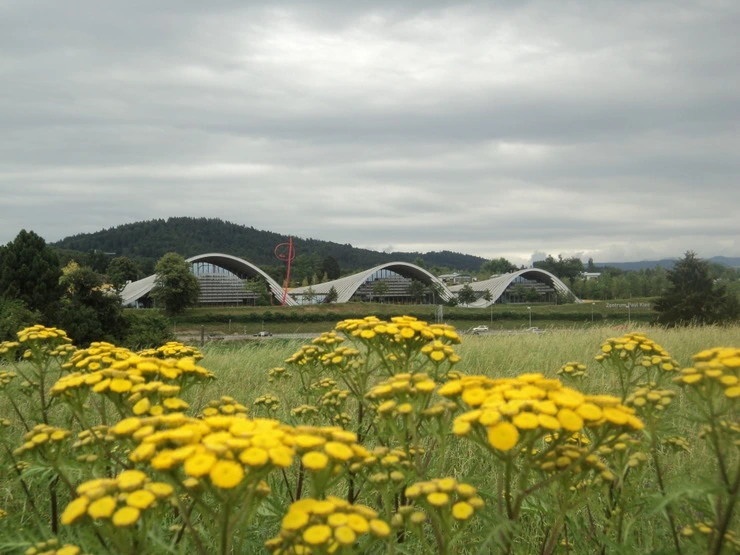 dsc07871_taejungsmin.jpg?type=w2