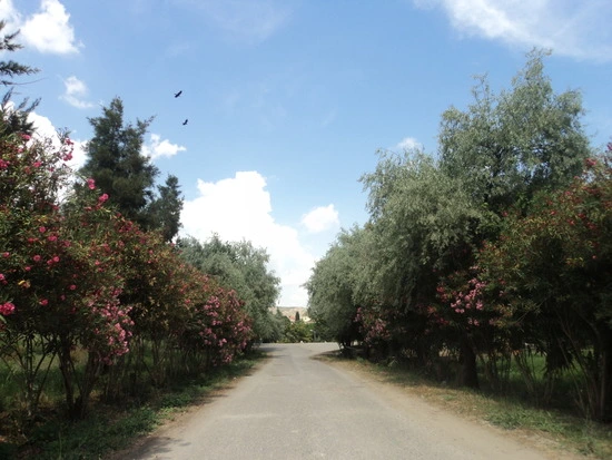 dsc03311_taejungsmin.jpg?type=w2