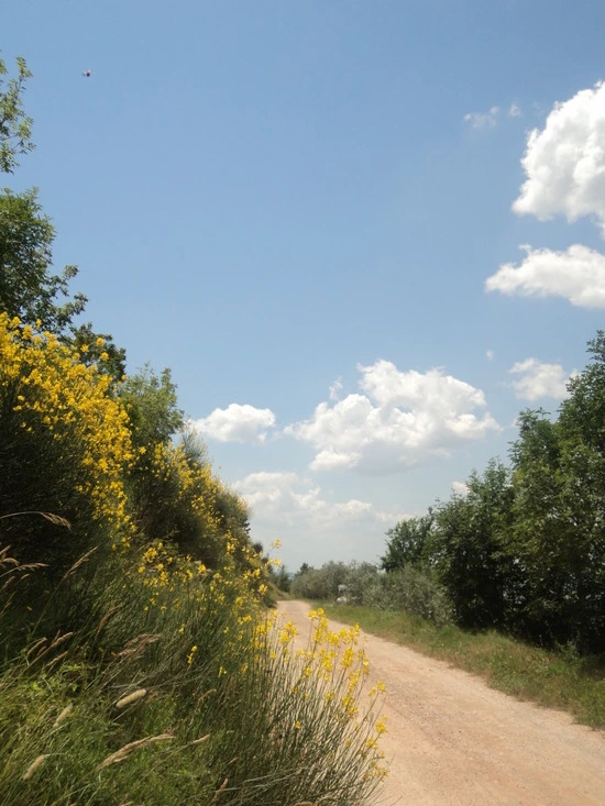 dsc05807_taejungsmin.jpg?type=w2