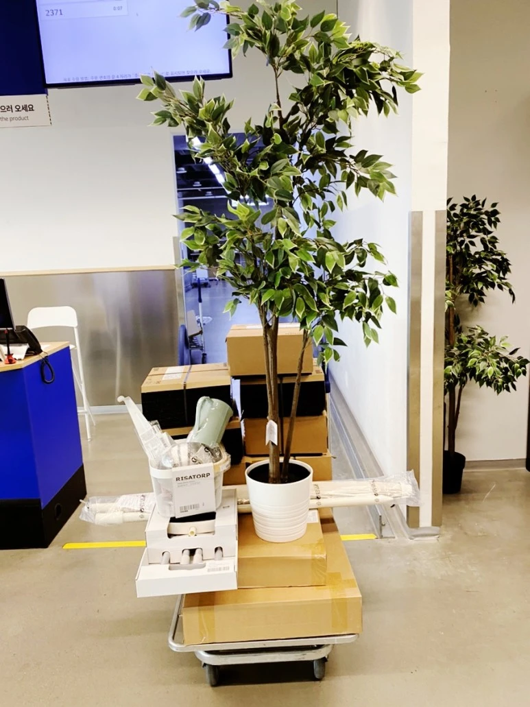 output_896155670.jpg?type=w773