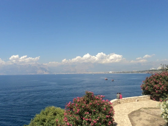 dsc03695_taejungsmin.jpg?type=w2