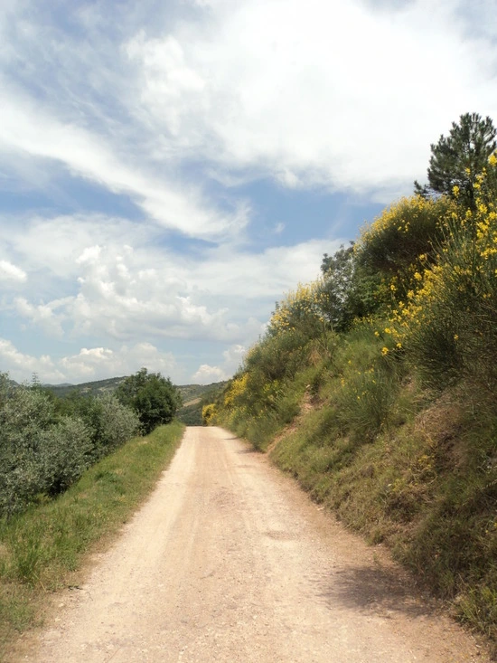 dsc05809_taejungsmin.jpg?type=w2