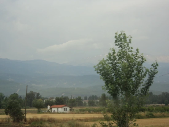 dsc03295_taejungsmin.jpg?type=w2