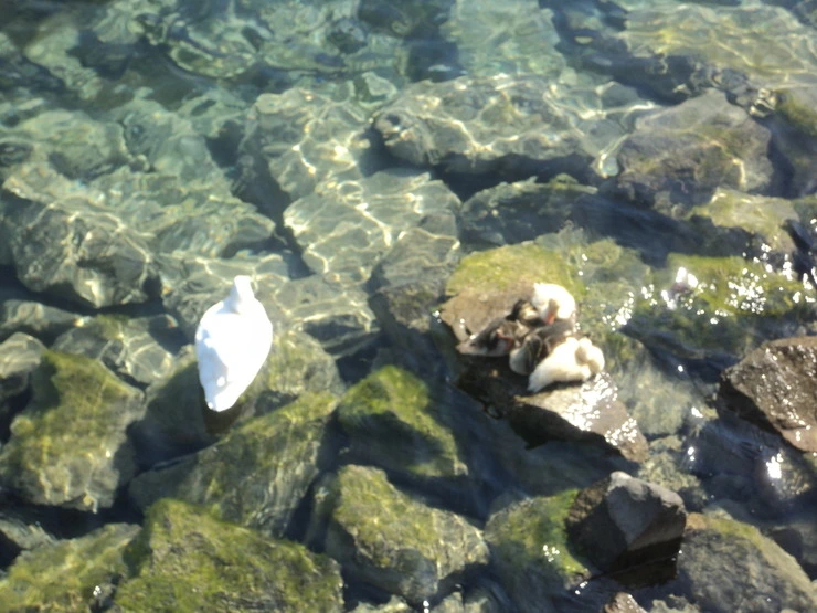 dsc07651_taejungsmin.jpg?type=w2