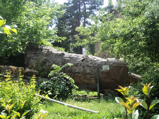 dsc01196_taejungsmin.jpg?type=w2