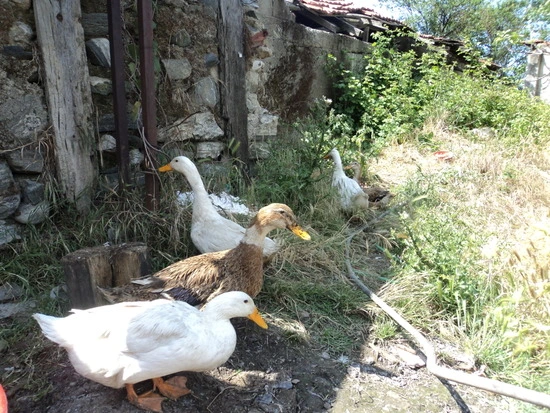 dsc00786_taejungsmin.jpg?type=w2