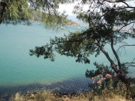 dsc03054_taejungsmin.jpg?type=w2