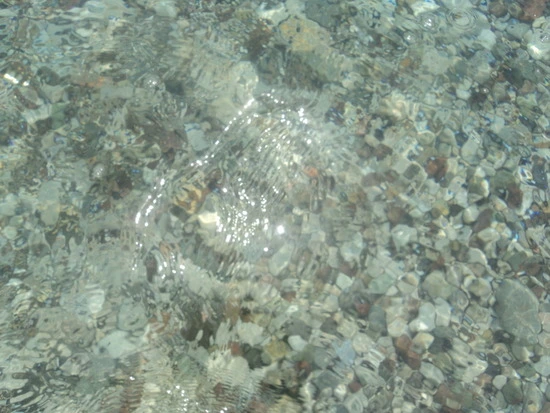 dsc03980_taejungsmin.jpg?type=w2