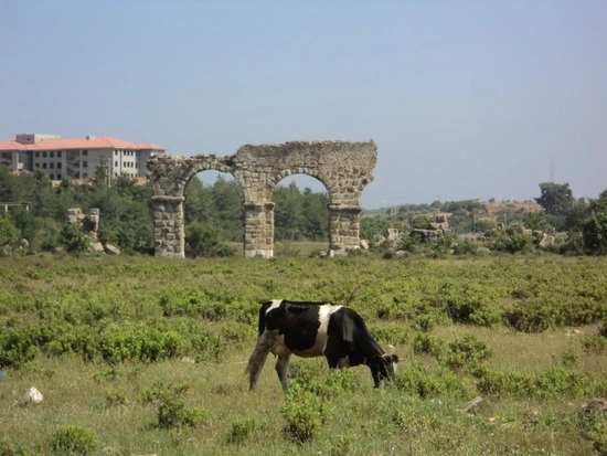 dsc02048_taejungsmin.jpg?type=w2