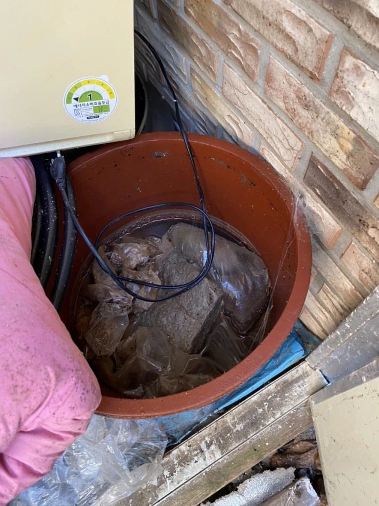 IMG_8130.jpg?type=w773