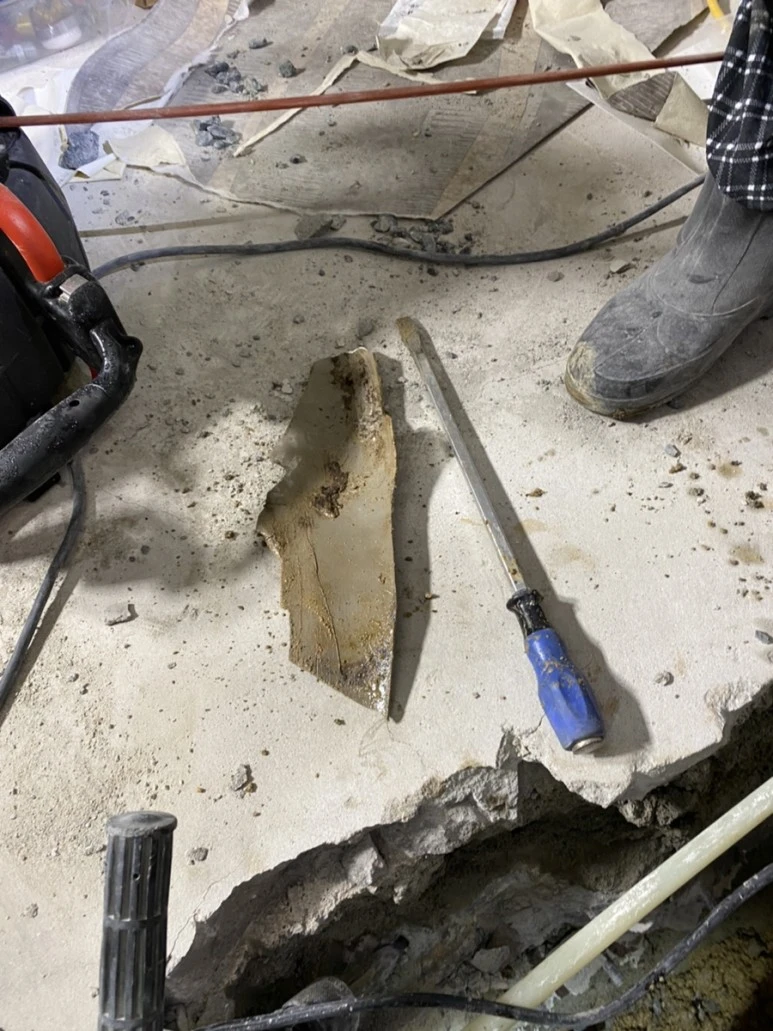 IMG_7885.jpg?type=w773