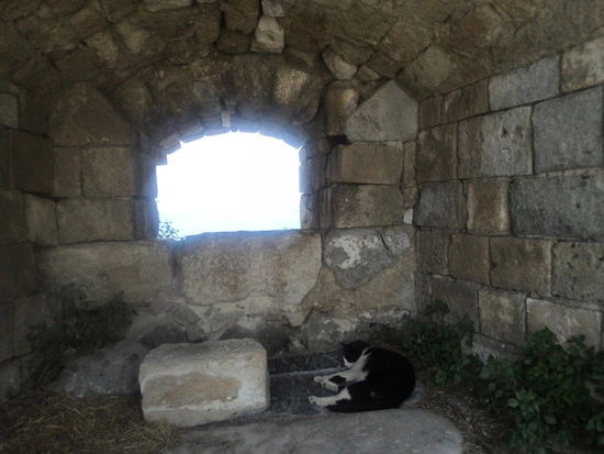 dsc04315_taejungsmin.jpg?type=w2