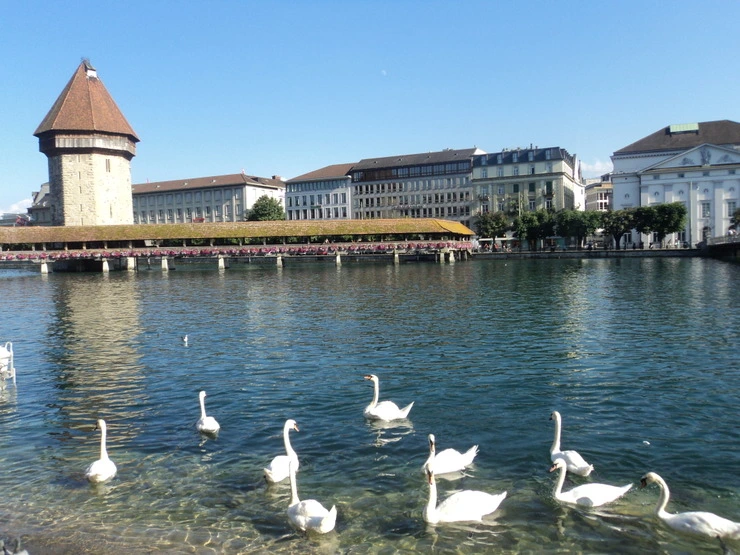 dsc08078_taejungsmin.jpg?type=w2