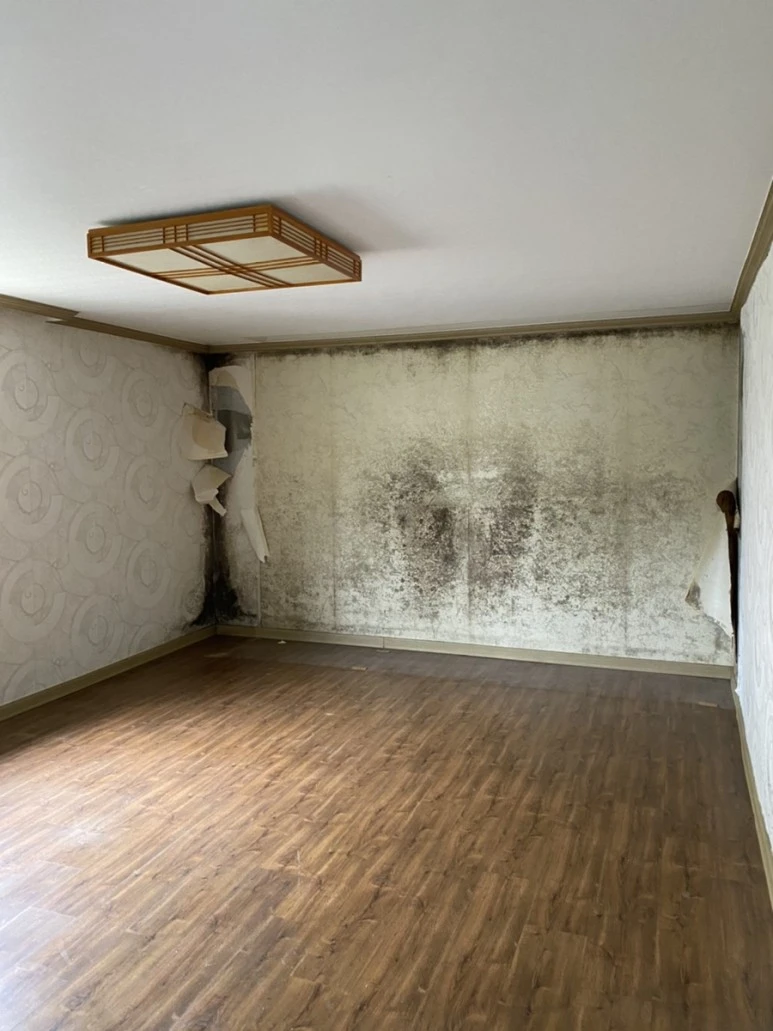 IMG_7407.jpg?type=w773