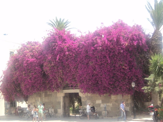 dsc04293_taejungsmin.jpg?type=w2