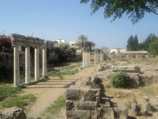 dsc04450_taejungsmin.jpg?type=w2