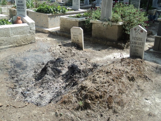 dsc03338_taejungsmin.jpg?type=w2