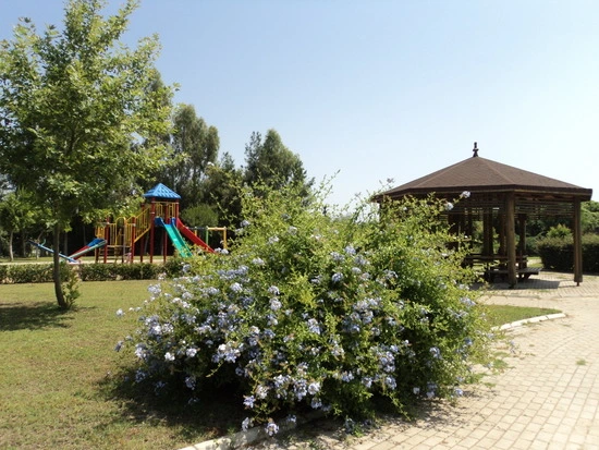 dsc02006_taejungsmin.jpg?type=w2