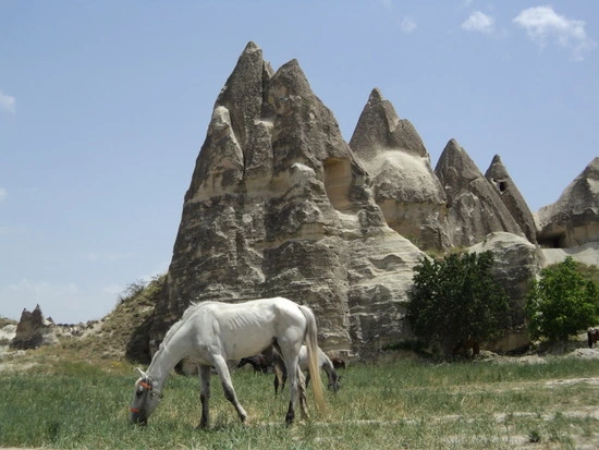 dsc01359_taejungsmin.jpg?type=w2