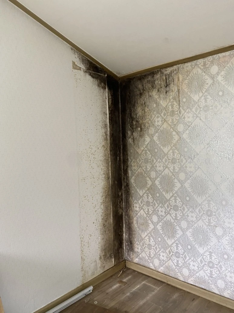 IMG_7441.jpg?type=w773